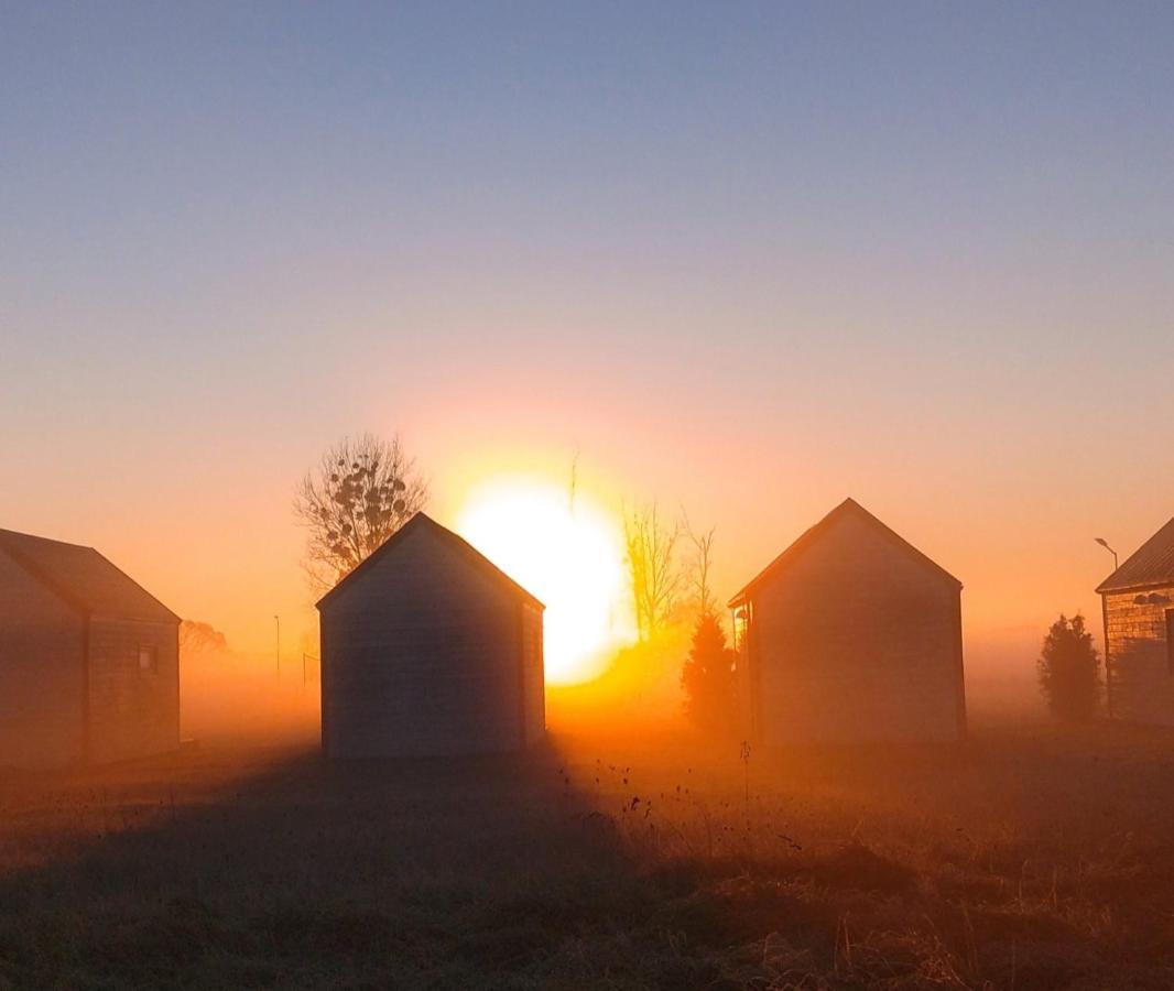 Strefa Kampinos Villa Brochów Dış mekan fotoğraf
