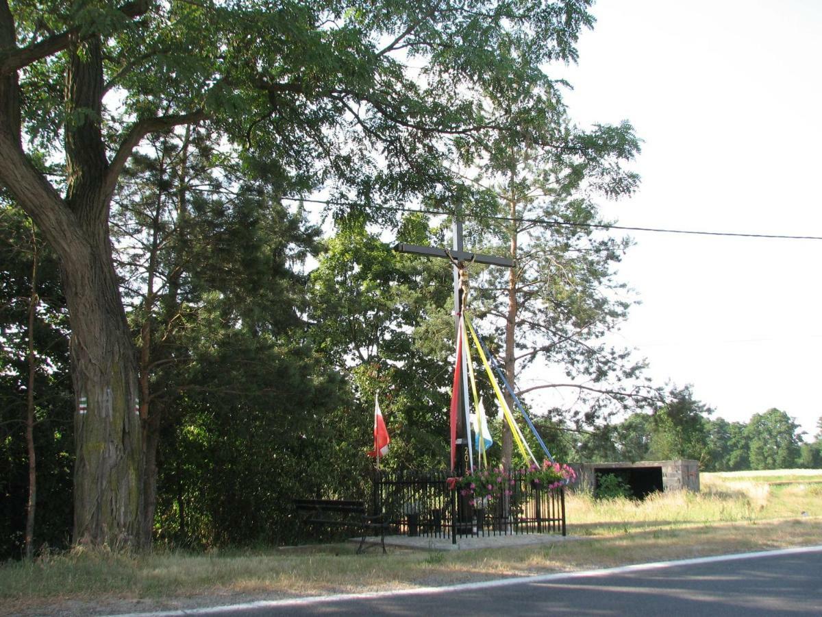 Strefa Kampinos Villa Brochów Dış mekan fotoğraf