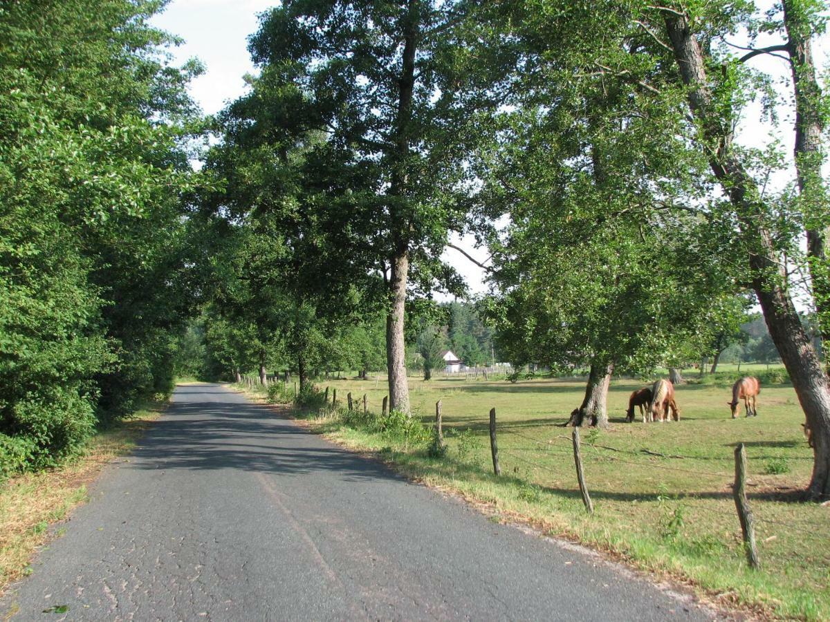 Strefa Kampinos Villa Brochów Dış mekan fotoğraf