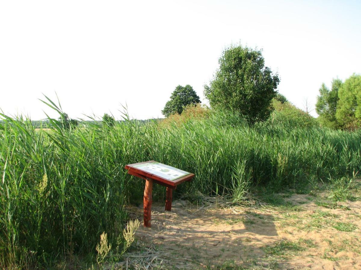 Strefa Kampinos Villa Brochów Dış mekan fotoğraf
