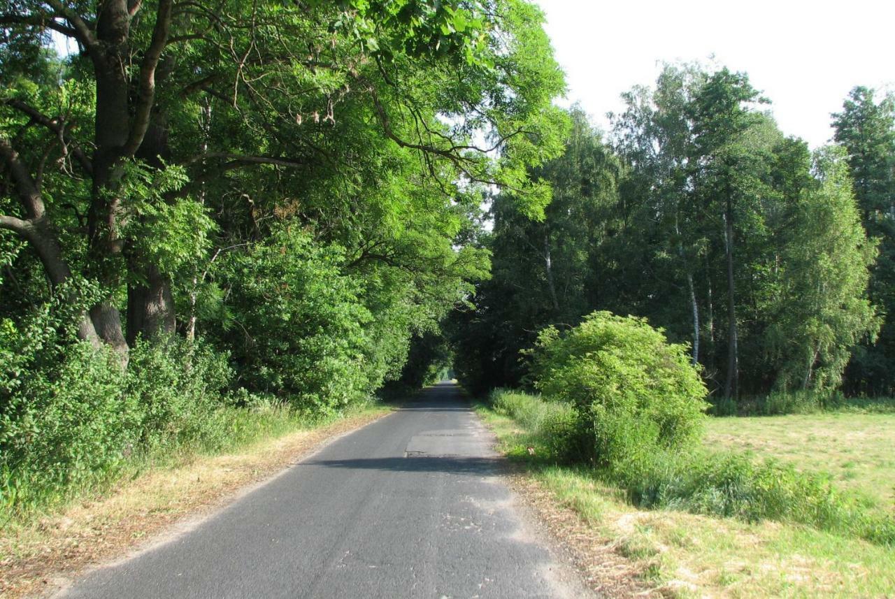 Strefa Kampinos Villa Brochów Dış mekan fotoğraf