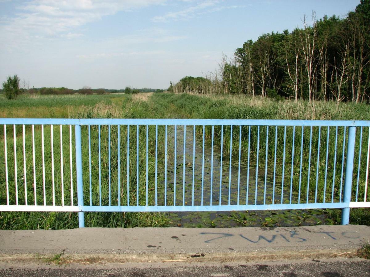 Strefa Kampinos Villa Brochów Dış mekan fotoğraf