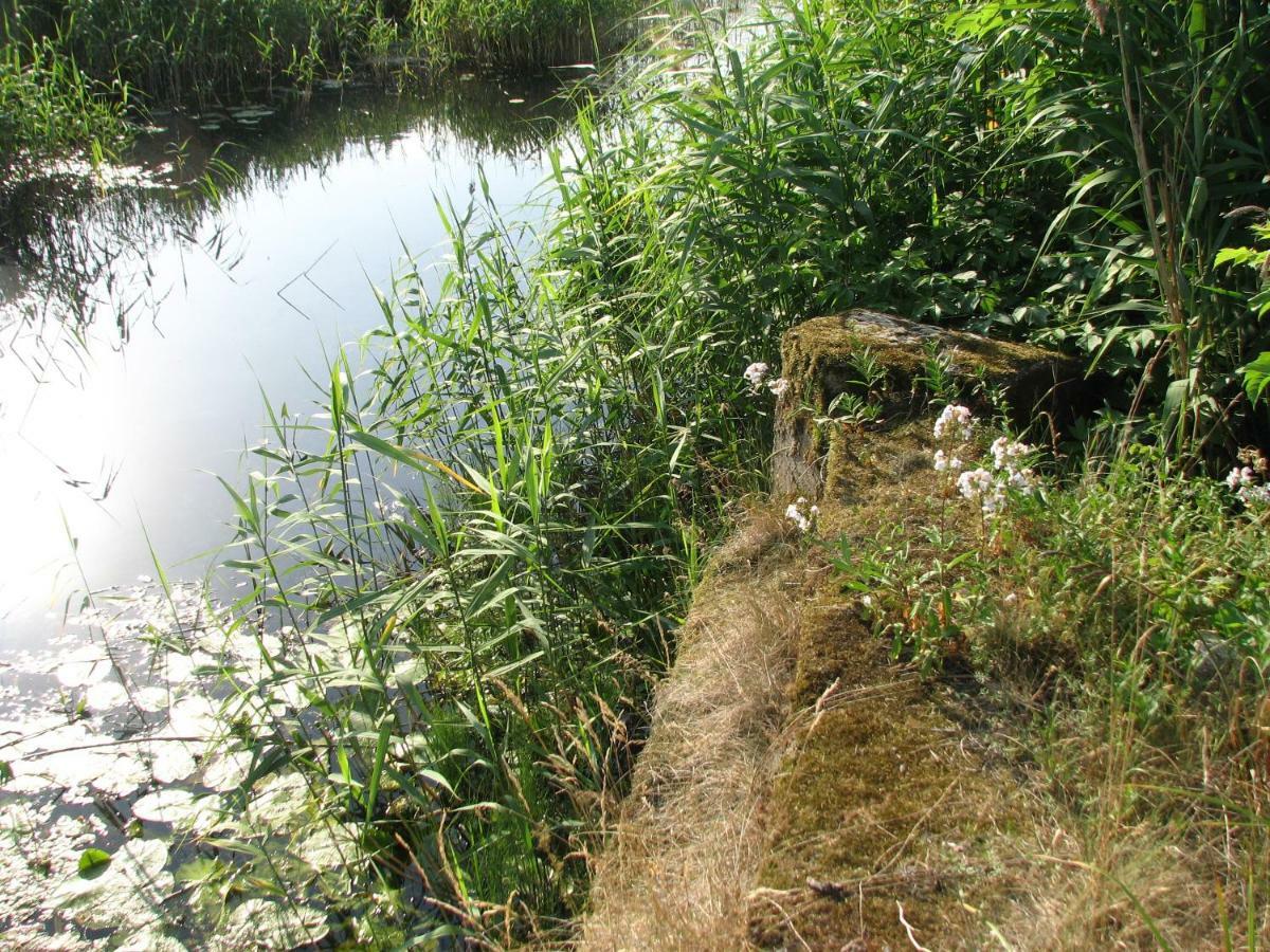 Strefa Kampinos Villa Brochów Dış mekan fotoğraf