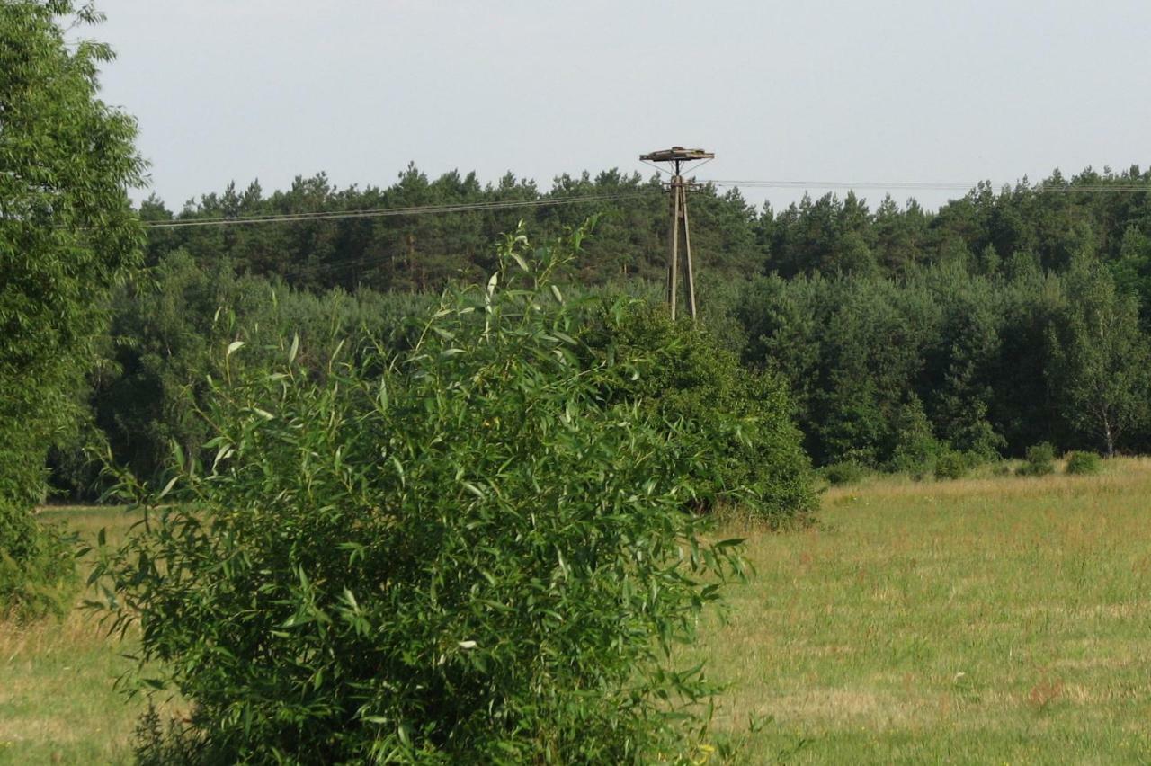Strefa Kampinos Villa Brochów Dış mekan fotoğraf