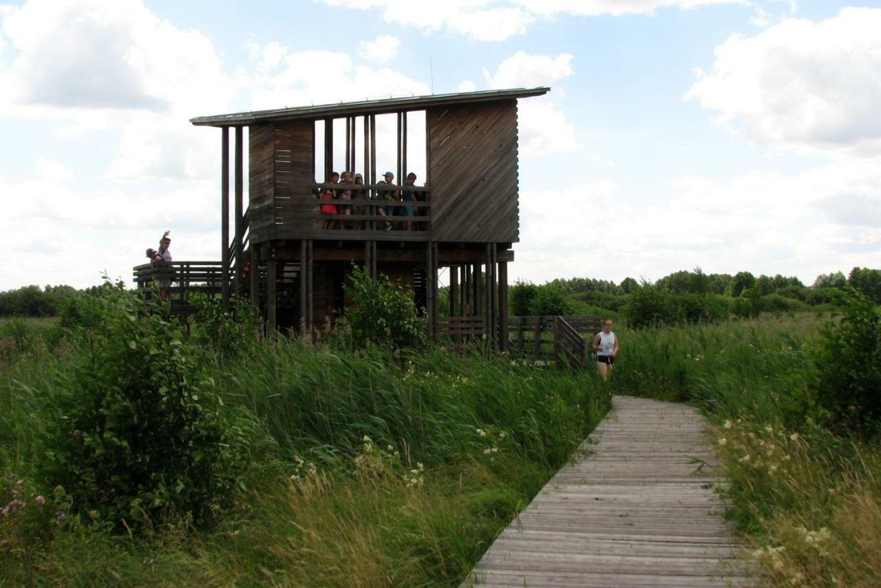 Strefa Kampinos Villa Brochów Dış mekan fotoğraf